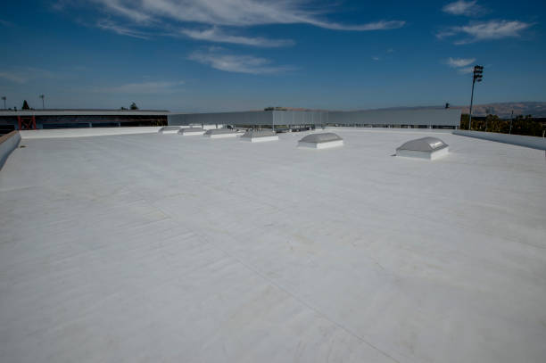 Best Roof Leak Repair  in Rib Mountain, WI
