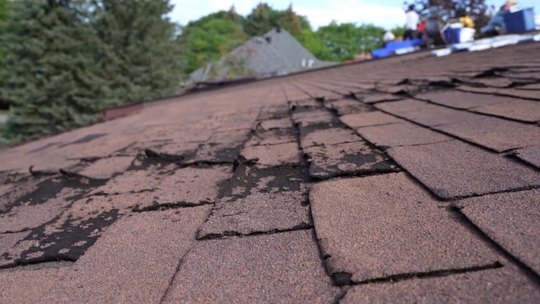 Best Green or Eco-Friendly Roofing Solutions  in Rib Mountain, WI