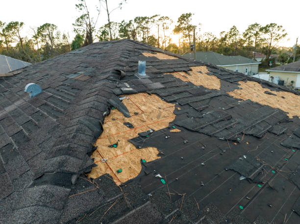 Best 4 Ply Roofing  in Rib Mountain, WI