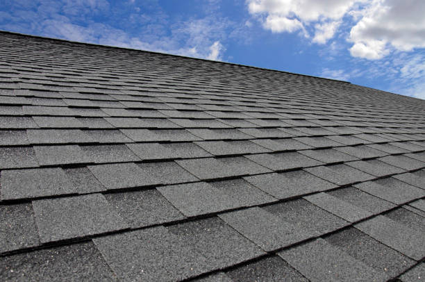Best Skylight Installation and Repair  in Rib Mountain, WI