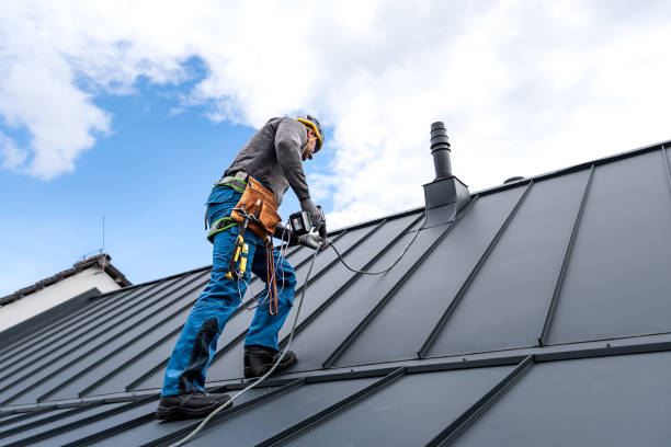 Best Steel Roofing  in Rib Mountain, WI